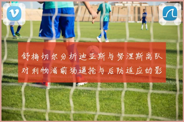 舒梅切尔分析迪亚斯与努涅斯离队对利物浦前场逼抢与后防适应的影响