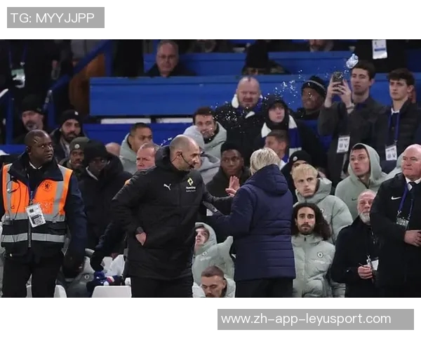 切尔西因水瓶事件遭英足总指控维拉替补席成焦点