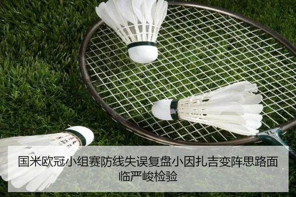 国米欧冠小组赛防线失误复盘小因扎吉变阵思路面临严峻检验（leyu.com）